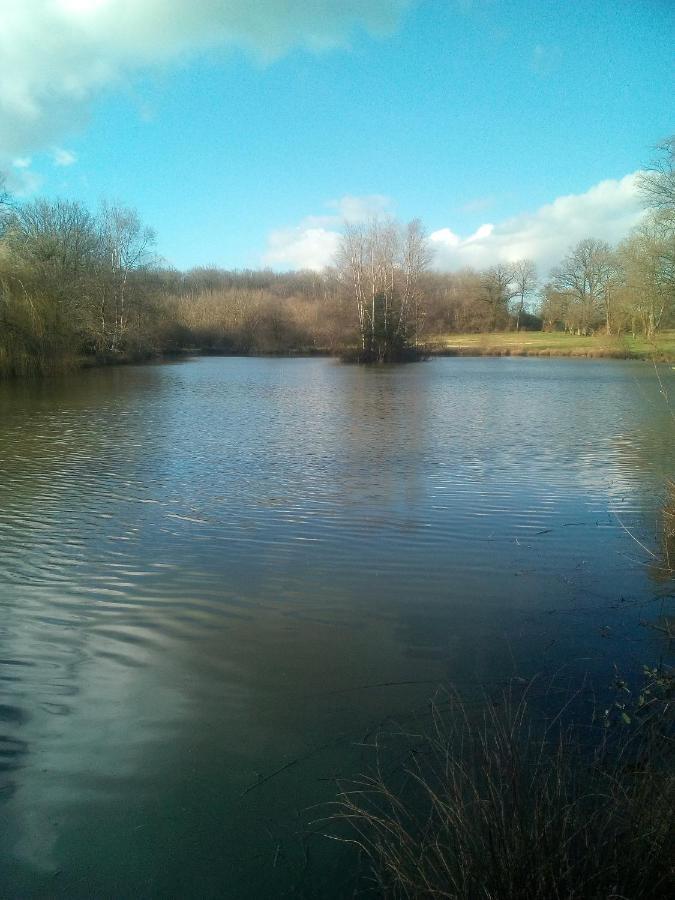 إيسي Domaine Du Clos Henri المظهر الخارجي الصورة
