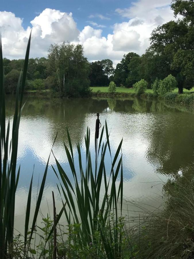 إيسي Domaine Du Clos Henri المظهر الخارجي الصورة