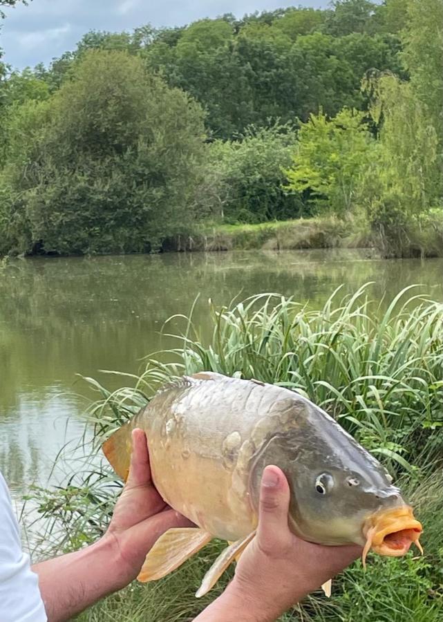 إيسي Domaine Du Clos Henri المظهر الخارجي الصورة