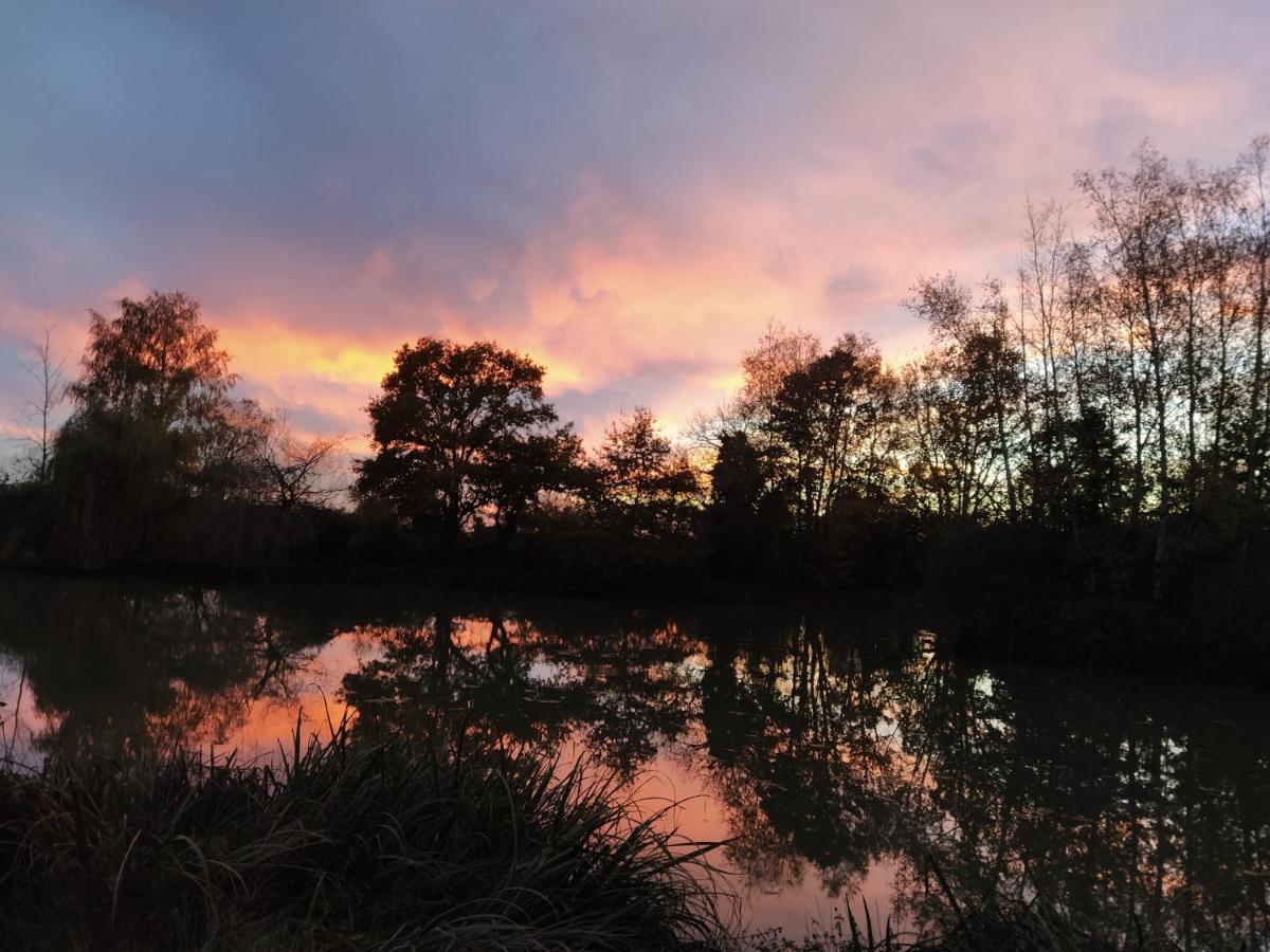 إيسي Domaine Du Clos Henri المظهر الخارجي الصورة